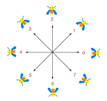 axis